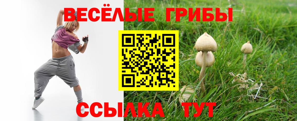 Псилоцибиновые грибы MAGIC MUSHROOMS Севастополь